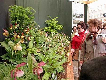 Bundesgartenschau München 2005 Bundesgartenschau München 2005