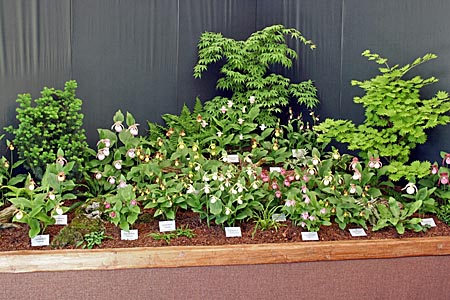 Bundesgartenschau München 2005 Bundesgartenschau München 2005