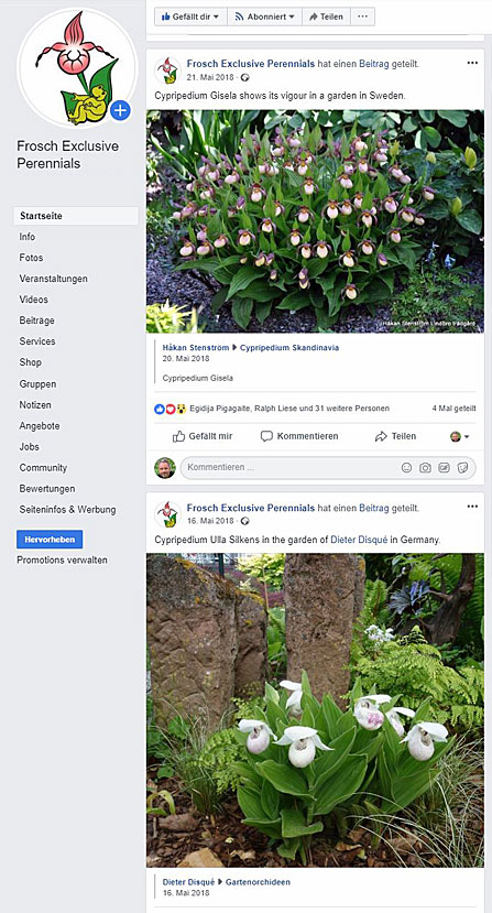Die Facebook-Seite von Frosch® Exklusivstauden Die Facebook-Seite von Frosch® Exklusivstauden