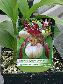 pot tag Frosch® pot tag Frosch®
