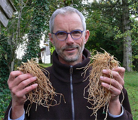 Michael Weinert und Super-Rhizome aus seiner Gärtnerei Frosch Michael Weinert und Super-Rhizome aus seiner Gärtnerei Frosch