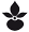 Blüte Blüte