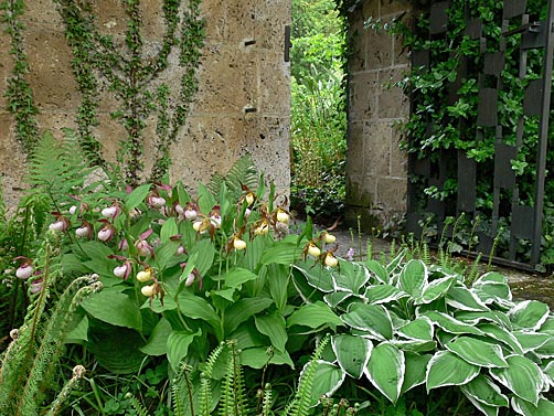 Gartenbeispiel Gartenbeispiel