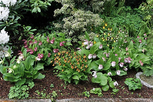Gartenbeispiel Gartenbeispiel