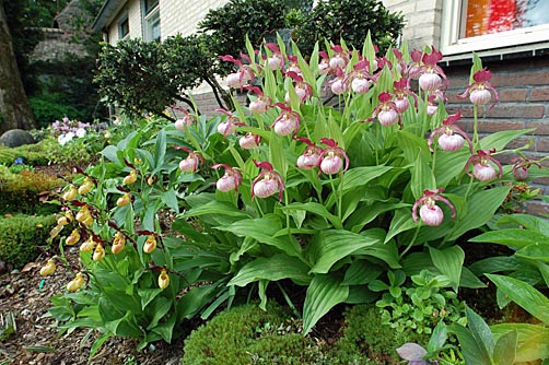 Gartenbeispiel Gartenbeispiel