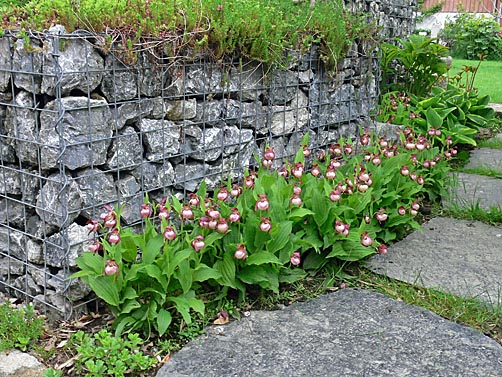 Gartenbeispiel Gartenbeispiel