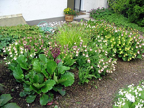 Gartenbeispiel Gartenbeispiel