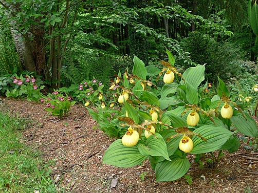 Gartenbeispiel Gartenbeispiel