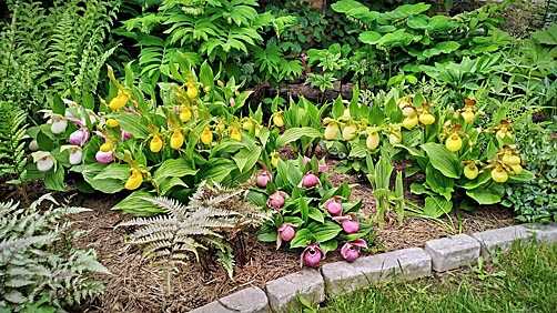 Gartenbeispiel Gartenbeispiel