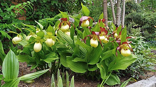 Gartenbeispiel Gartenbeispiel