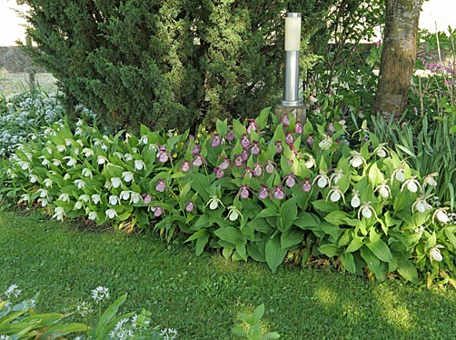 Gartenbeispiel Gartenbeispiel